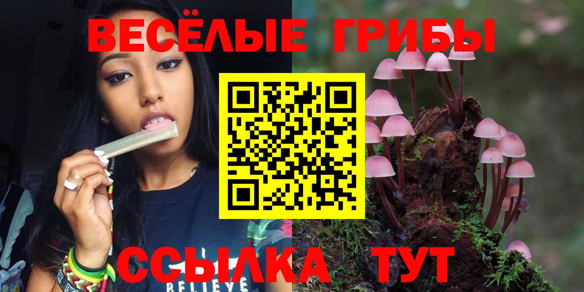 даркнет сайт  Псилоцибиновые грибы Psilocybine cubensis  Вход с VPN  Наро-Фоминск 